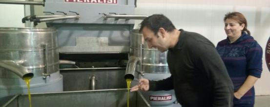 Παραγωγή ζεόλαδου 2017-2018