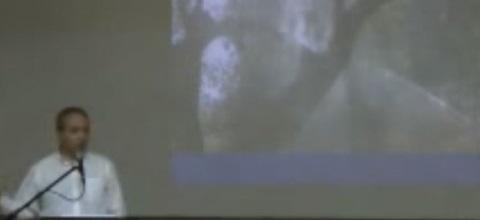 Πολλά προβλήματα: δάκος, κατσίγαρος, νηματώδης. Μια λύση: ζεόλιθος Πολλά προβλήματα: δάκος, κατσίγαρος, νηματώδης. Μια λύση: ζεόλιθος