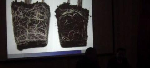 N. Lygeros: La stratégie de la Z.E.E et de la Zéolithe