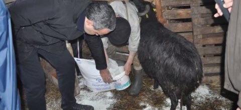 Ζεόλιθος και κτηνοτροφία - Μυτιλήνη Ζεόλιθος και κτηνοτροφία - Μυτιλήνη