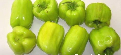 Ζεολιθικά λαχανικά με παραδοσιακούς σπόρους, Νέα Ορεστιάδα