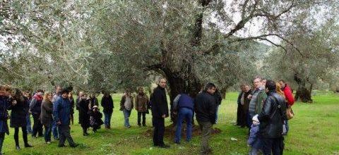 Μυτιλήνη: Μια διαφορετική εκδήλωση με δώρο... ένα κιλό ζεόλιθο! Μυτιλήνη: Μια διαφορετική εκδήλωση με δώρο... ένα κιλό ζεόλιθο!