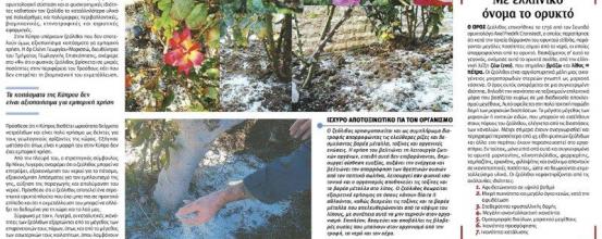 Ζεόλιθος: Το ορυκτό που κάνει θαύματα (Ο Φιλελεύθερος, 16/02/2014)