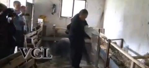 Ν. Λυγερός: Ζεόλιθος για ζώα Ν. Λυγερός: Ζεόλιθος για ζώα