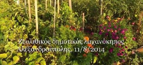 Ζεολιθικός δημοτικός λαχανόκηπος Αλεξανδρούπολης Ζεολιθικός δημοτικός λαχανόκηπος Αλεξανδρούπολης