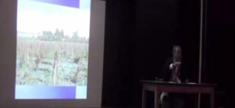 N. Lygeros: Zéolithe et Viticulture