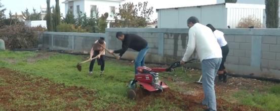 Ενσωμάτωση ζεόλιθου στην Τεχνική και Γεωργική Σχολή Αμμοχώστου – Αυγόρου