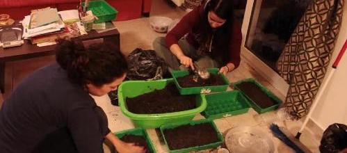 Φυτώριο παραδοσιακών σπόρων με ζεόλιθο, Αλεξανδρούπολη