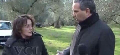 Ν. Λυγερός - Ζεόλιθος για μελίσσια