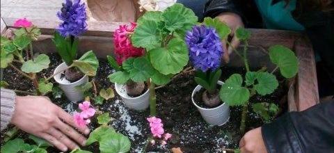 Ζεόλιθος στην Εκκλησία του Αγίου Γεωργίου. Κατεχόμενη Θράκη Ζεόλιθος στην Εκκλησία του Αγίου Γεωργίου. Κατεχόμενη Θράκη