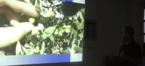 Διάλεξη του Ν. Λυγερού: «Ο ζεόλιθος ενάντια στο δάκο»