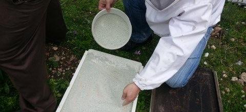 Εφαρμογή ζεόλιθου σε μελίσσια - Κέρκυρα