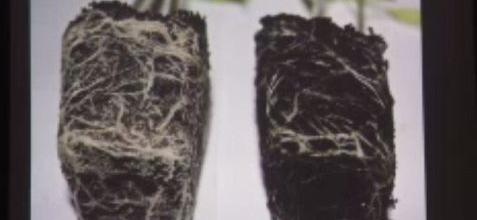 Διάλεξη του Ν. Λυγερού: «Προϊόντα φιλικά στο περιβάλλον»