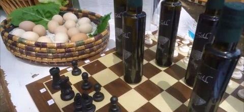 Ζεόλιθος στην Πρώτη Παγκύπρια Οικογιορτή, Λευκωσία