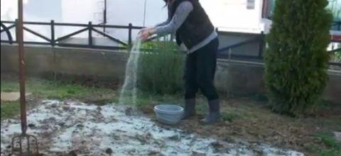 Ζεόλιθος σε κήπο, Νέα Ορεστιάδα