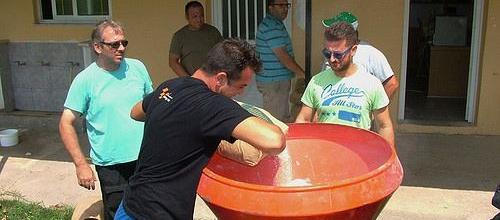 Εφαρμογή Ζεόλιθου στο χλοοτάπητα του γηπέδου Μαΐστρου και στο Πάρκο Εθνικής Ανεξαρτησίας, Αλεξανδρούπολη