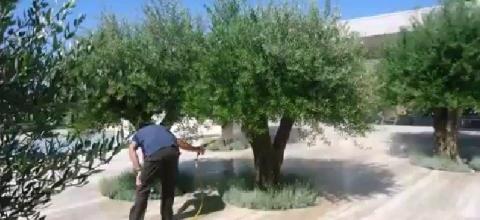 Ψεκασμός ζεόλιθου στα Πυργά