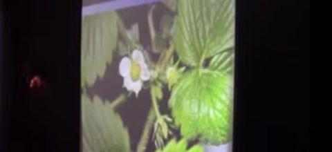 N. Lygeros: Zéolithe et applications technologiques, industrielles, agricoles