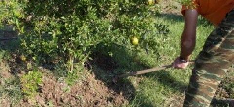 Ενσωμάτωση ζεόλιθου σε Ροδιές, Μοναστηράκι Αλεξανδρούπολη Ενσωμάτωση ζεόλιθου σε Ροδιές, Μοναστηράκι Αλεξανδρούπολη