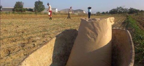 Ενσωμάτωση ζεόλιθου. Σίνδος, 11/08/2014 Ενσωμάτωση ζεόλιθου. Σίνδος, 11/08/2014