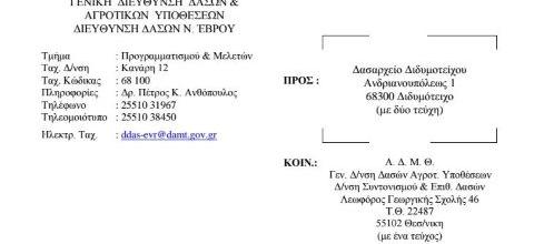 Έγκριση μελέτης «Δασικής οδού τύπου Γ΄ για κοιτασματολογικές έρευνες βιομηχανικού ορυκτού (Ζεόλιθου)»