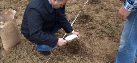 Ν. Λυγερός: Ενσωμάτωση ζεόλιθου σε αρωματικές τριανταφυλλιές - Καστοριά