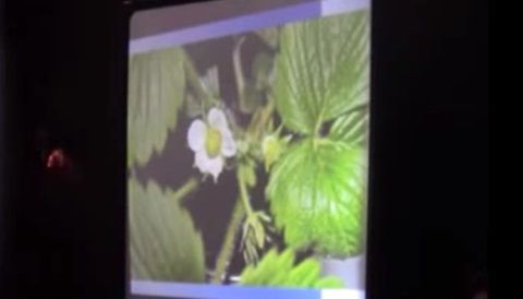 N. Lygeros - Zéolithe et applications technologiques industrielles agricoles.