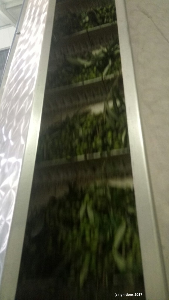 Paragwgh Zeoladou 2017 2018