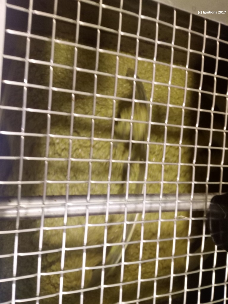 Paragwgh Zeoladou 2017 2018