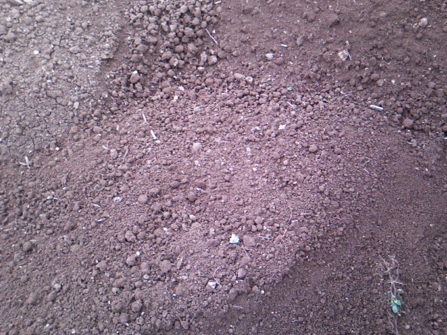 Χαρουπιές με ζεόλιθο στην Κύπρο