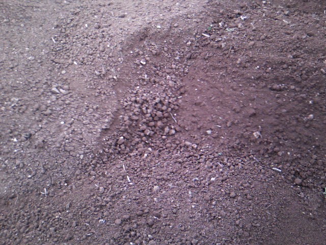 Χαρουπιές με ζεόλιθο στην Κύπρο