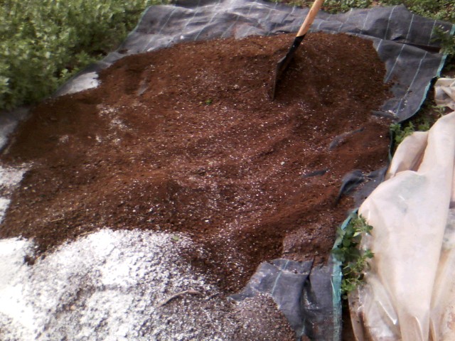 Χαρουπιές με ζεόλιθο στην Κύπρο