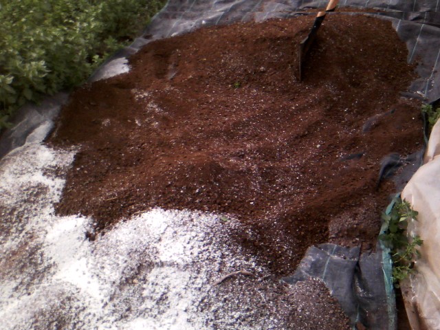 Χαρουπιές με ζεόλιθο στην Κύπρο