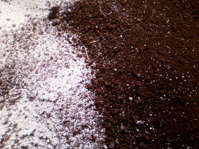 Χαρουπιές με ζεόλιθο στην Κύπρο