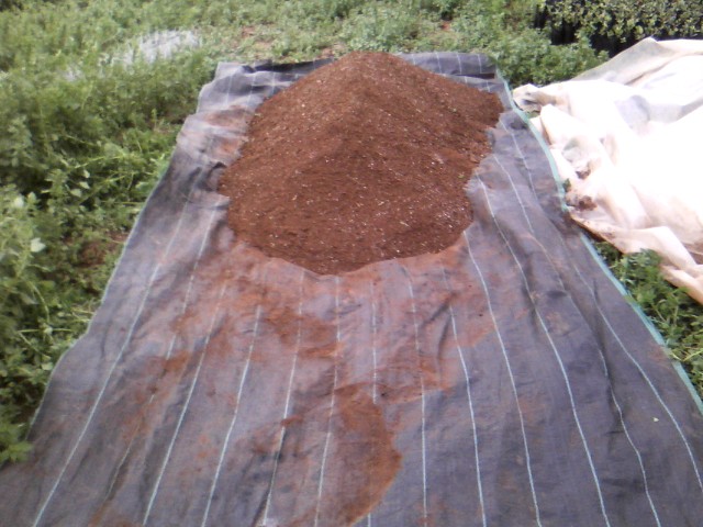 Χαρουπιές με ζεόλιθο στην Κύπρο