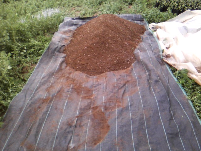 Χαρουπιές με ζεόλιθο στην Κύπρο