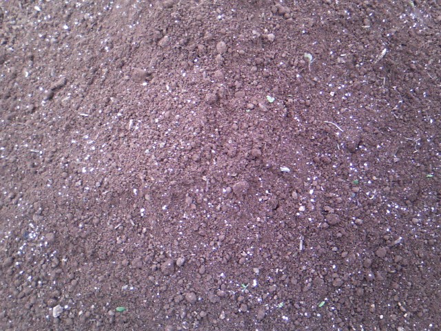 Χαρουπιές με ζεόλιθο στην Κύπρο