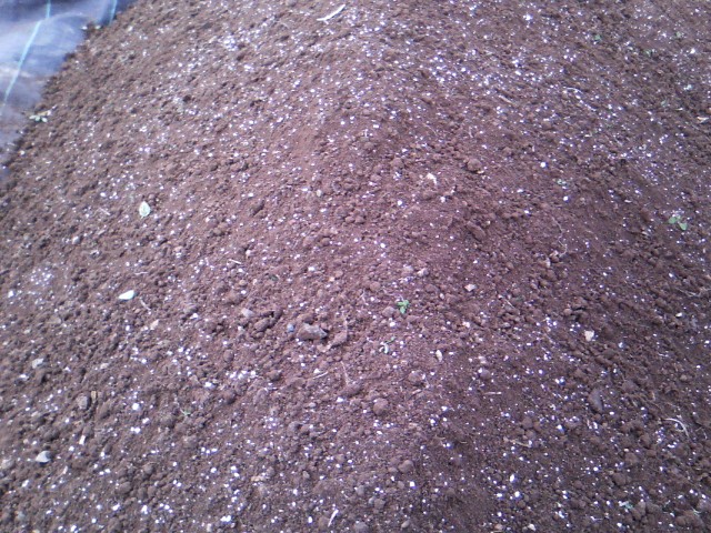 Χαρουπιές με ζεόλιθο στην Κύπρο