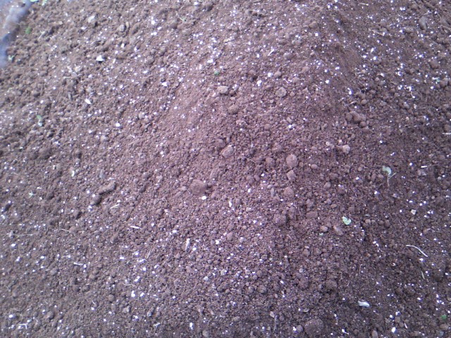 Χαρουπιές με ζεόλιθο στην Κύπρο