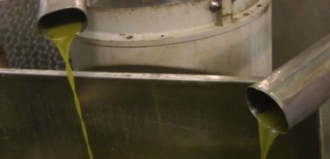 Αποστολή ζεόλαδου 2014-2015 - Πρόδρομος Μεσσηνίας.