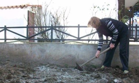 ΕΝΣΩΜΑΤΩΣΗ ΖΕΟΛΙΘΟΥ ΣΕ ΛΑΧΑΝΟΚΗΠΟ ΝΕΑ ΟΡΕΣΤΙΑΔΑ.