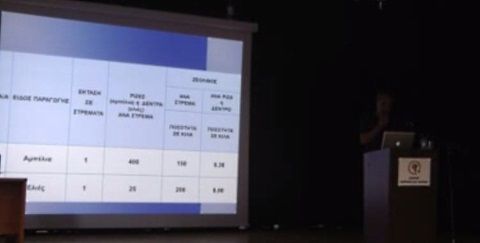 Ελαιόλαδο-Ζεόλιθος-Ελληνισμός.