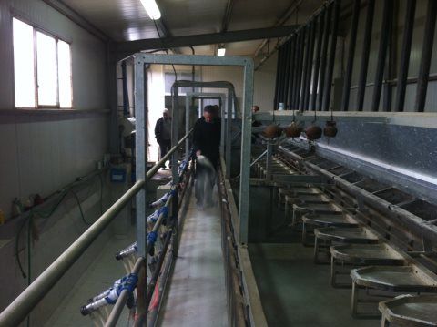 Ενημερωτική-ημερίδα-για-τον-Ζεόλιθο--Περιφερειακή-Ενότητα-Καστοριάς-4