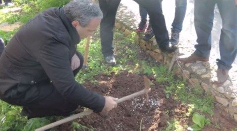 Ενσωμάτωση Ζεόλιθου. Κορμακίτης, Κύπρος.
