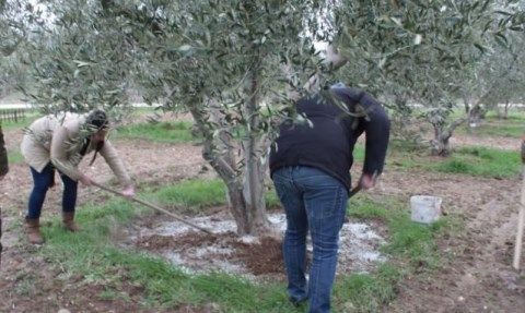 Ενσωμάτωση ζεόλιθου - Εκκλησάκι Αγ.Αρσενίου -Γ.Παϊσίου.
