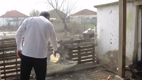 Ενσωμάτωση ζεόλιθου (γεωργία, κτηνοτροφία) - Σέρρες.