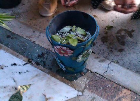 Ενσωμάτωση ζεόλιθου σε γλάστρες - Αραδίππου-Κύπρος.