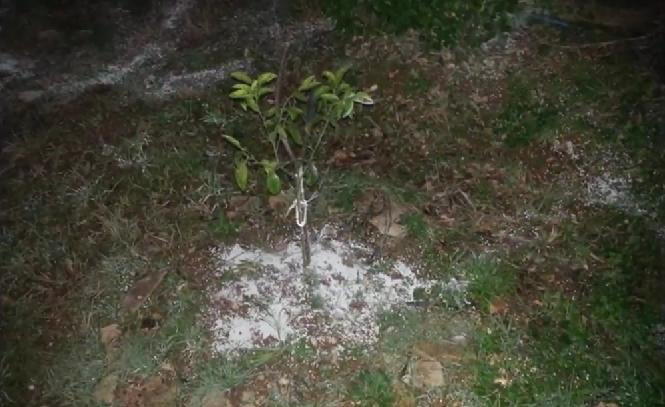 Ενσωμάτωση ζεόλιθου σε κτήμα, Κέρκυρα.