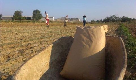 Ενσωμάτωση ζεόλιθου Σίνδος.