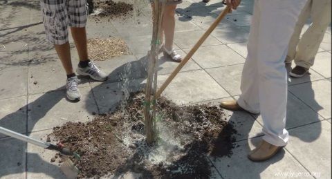 Ενσωμάτωση ζεόλιθου στο αστικό περιβάλλον Αλεξανδρούπολης.